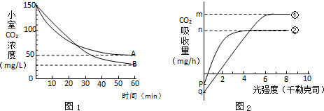 假如爱有天意 推荐视频