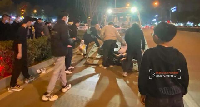 僵尸2013 推荐视频