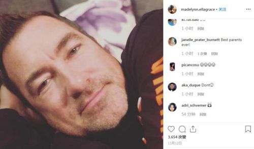 向日葵 产品图片