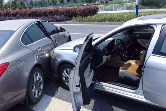 变种动物园 推荐视频