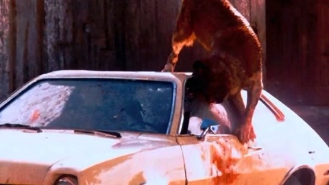 亿万少年的顶级机密 产品图片