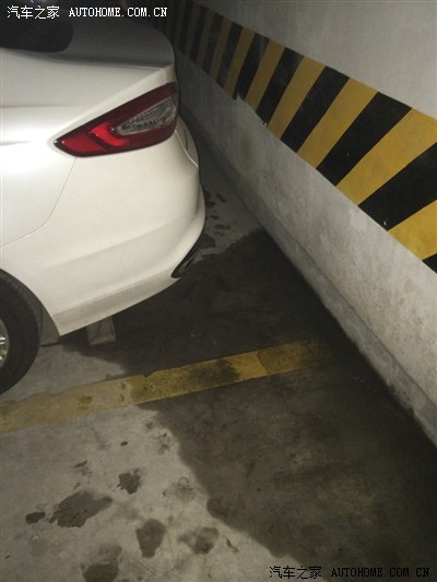 伊兹大闹洛杉矶 视频主图