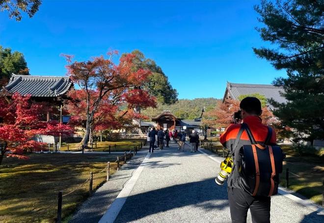 唐卡迷踪 产品图片