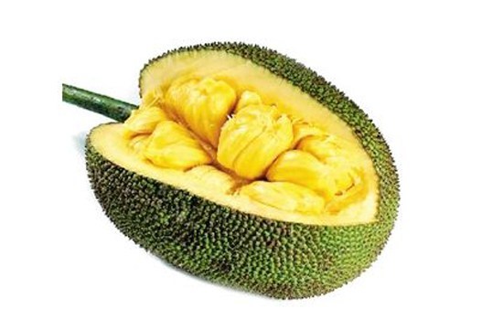 僵尸新战士 普通话版 推荐视频