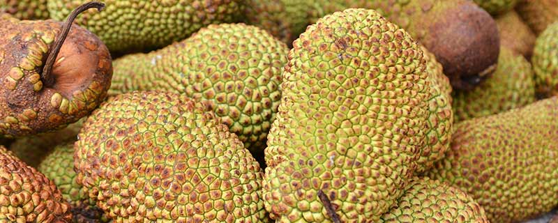 代客泊车 推荐视频