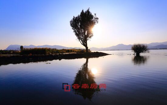 夜叉之无间有情 视频主图