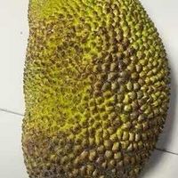 仙医神厨3 推荐视频