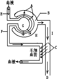 你好，13岁 推荐视频