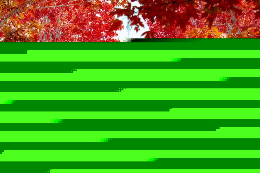 冲锋号 推荐视频