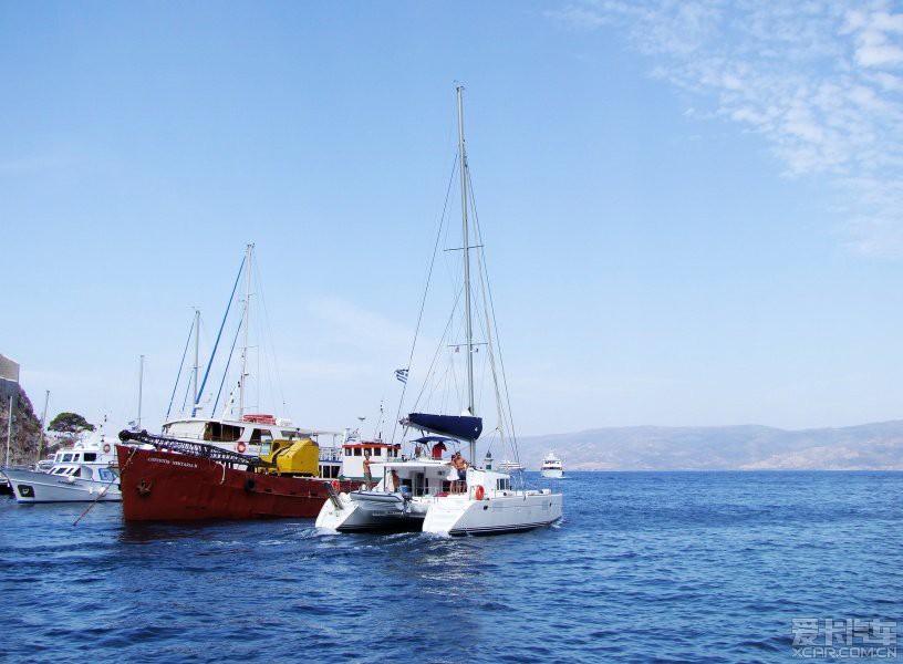 倔强萝卜 产品图片