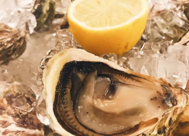 咒怨：白老妇 视频主图