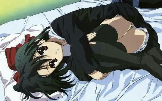 体外实验 产品图片