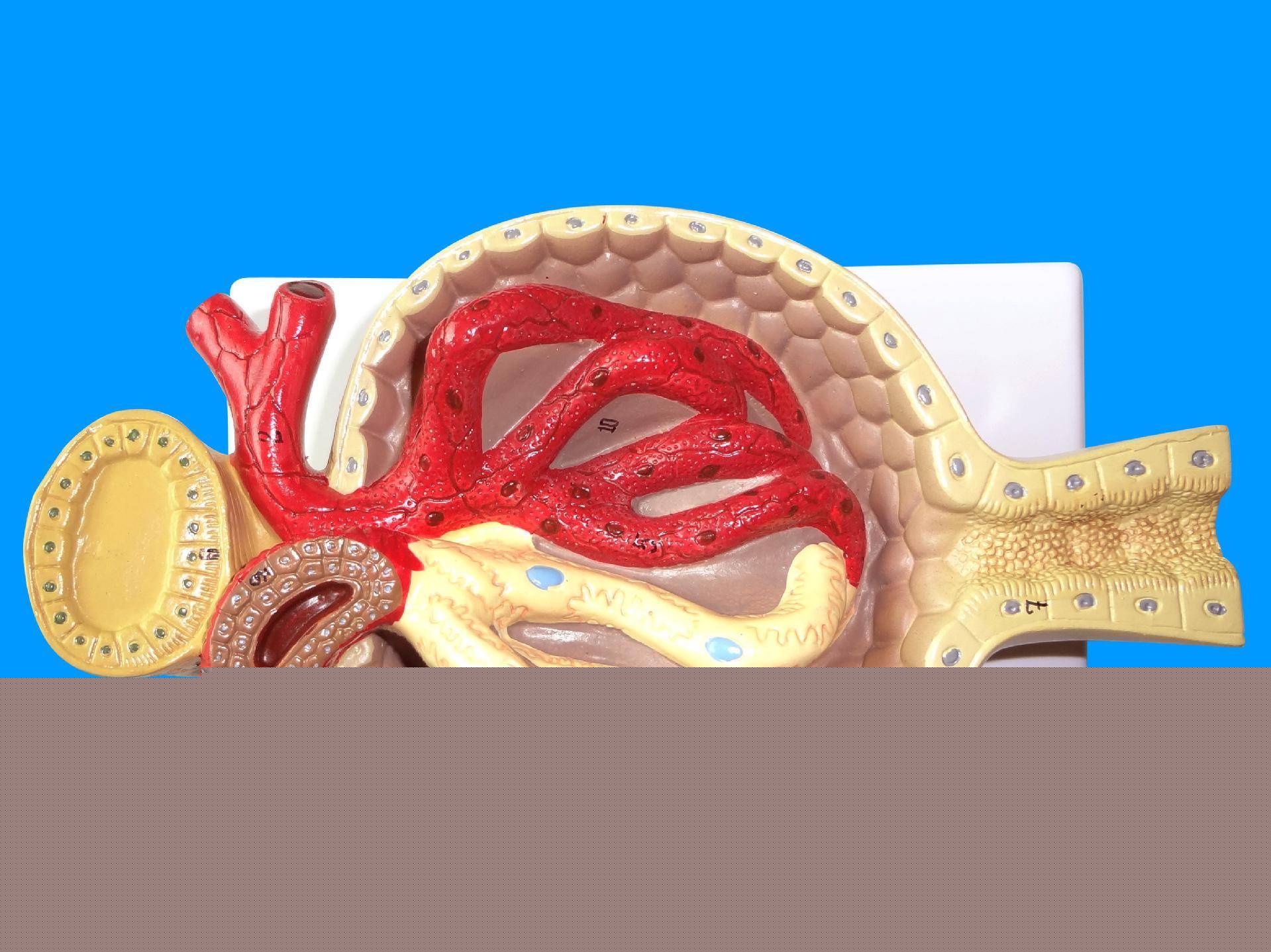 你是我兄弟之牌王