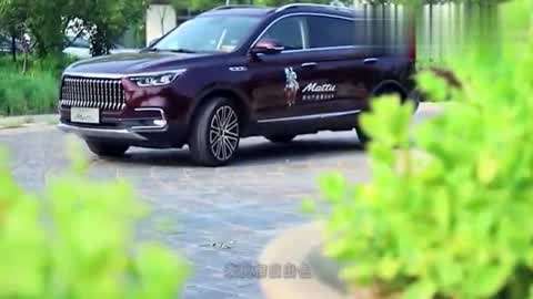 唐砖下之灵域双生 视频主图