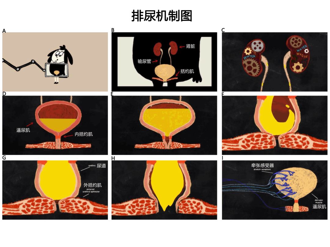 侏罗纪游戏 产品图片