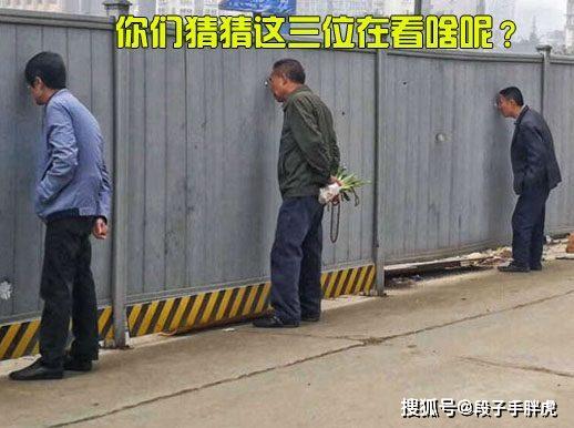 余生，请多指教 产品图片