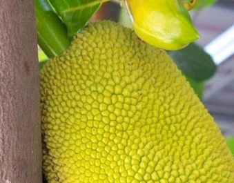 停不了的爱 产品图片