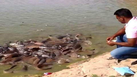 军团孤程 产品图片