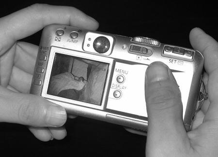 再见，残酷的世界 推荐视频