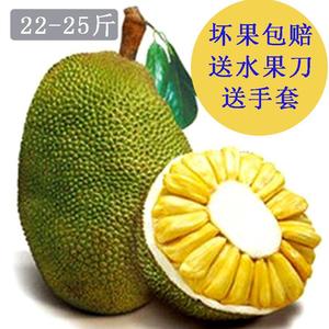 偷龙换凤 推荐视频