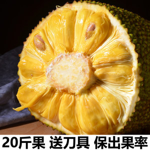 倒数回击 推荐视频