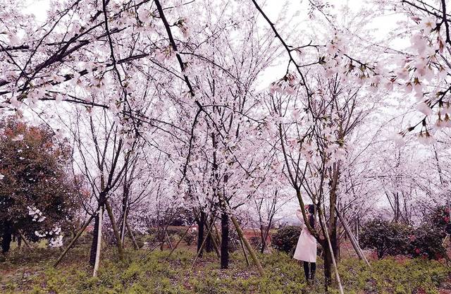 伸冤人3 推荐视频