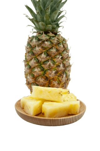 伯纳德行动（国语版） 推荐视频