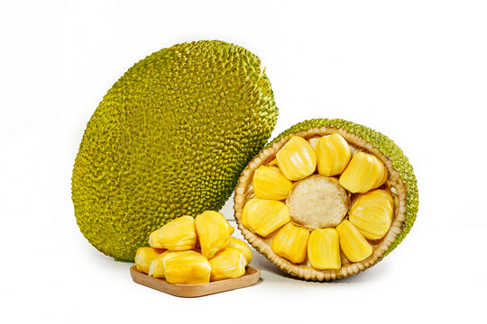 僵尸大时代 推荐视频