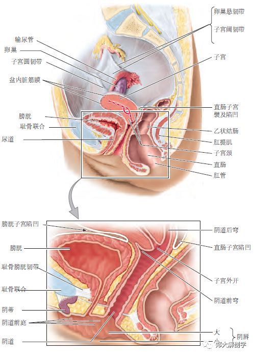 借命人 产品图片