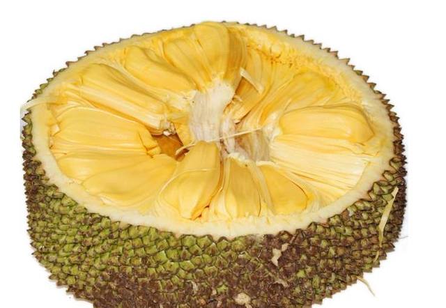 反毒风暴 推荐视频