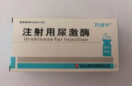 依然爱丽丝 推荐视频