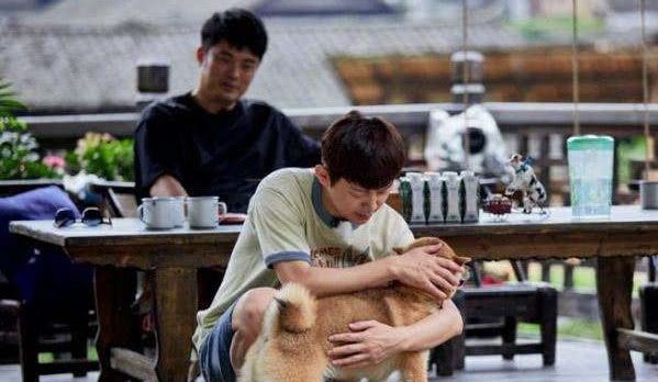 同情恶魔 推荐视频