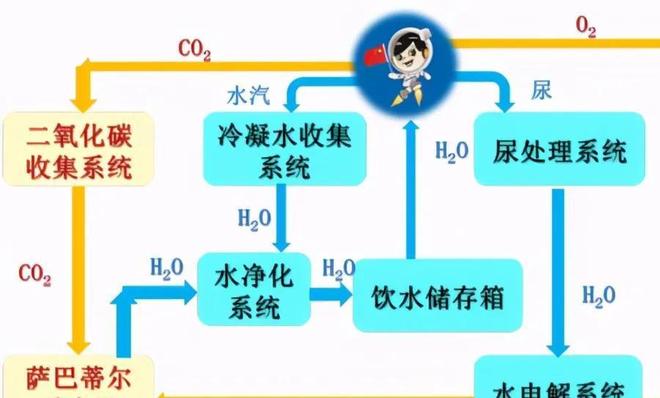 12勇士（粤语版） 视频主图