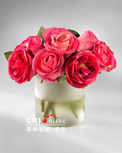 僵尸皇帝 视频主图