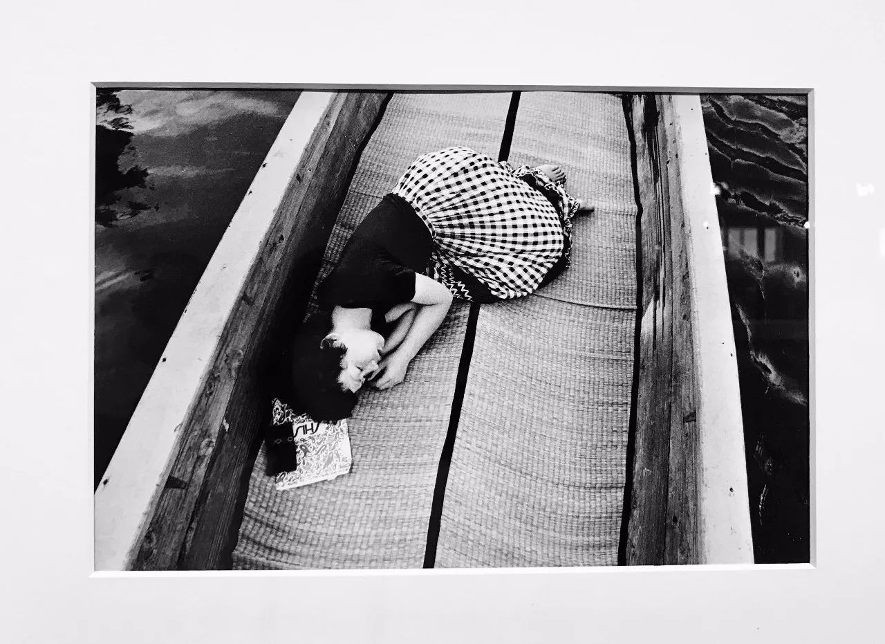 何以飞翔 推荐视频