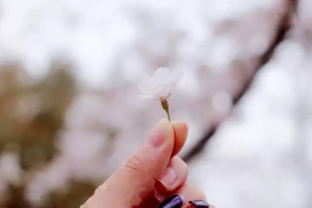 听妈妈的话 推荐视频