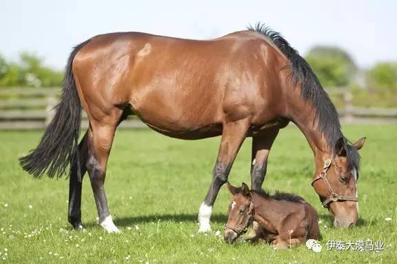 咒怨：白老妇 推荐视频
