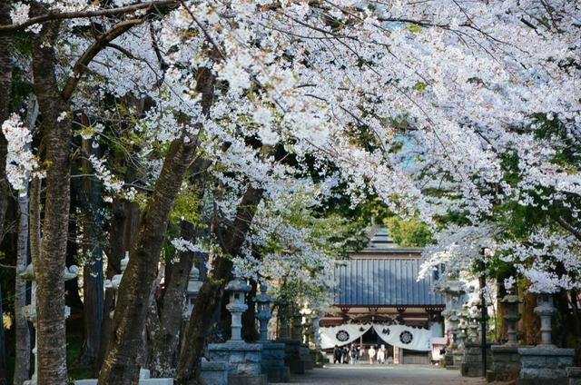 今夜在浪漫剧场（原声版） 推荐视频