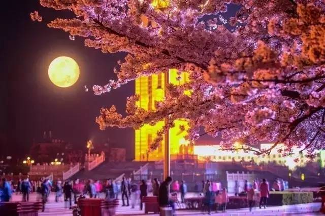 外太空的莫扎特 推荐视频