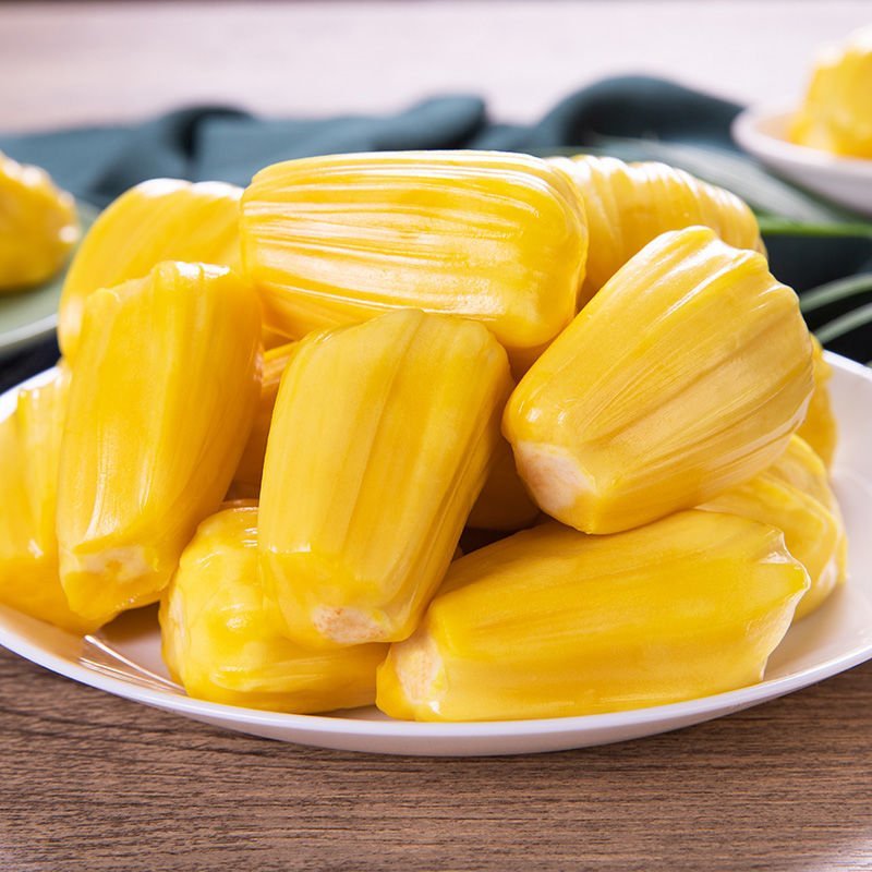 但丁之手 推荐视频