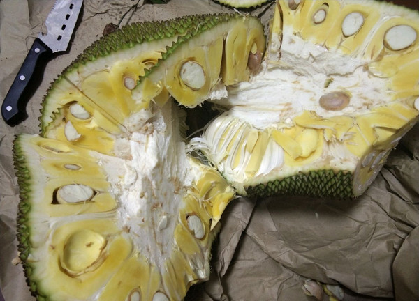 从21世纪安全撤离 推荐视频