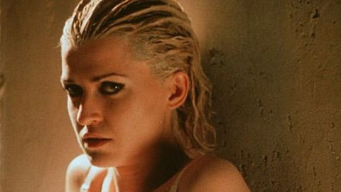 军团孤程 产品图片