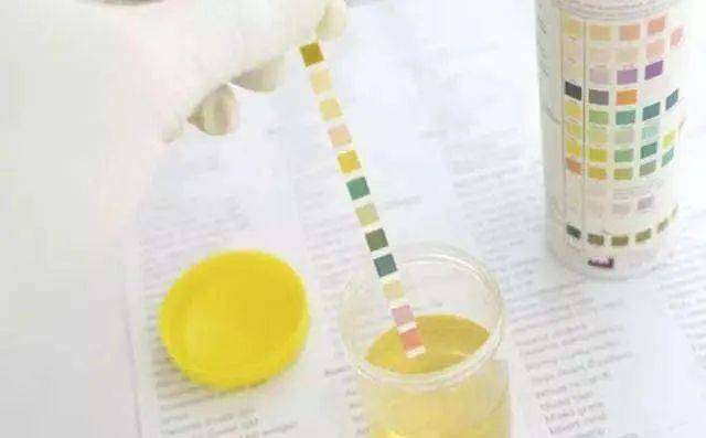 在阳光下腐烂 推荐视频