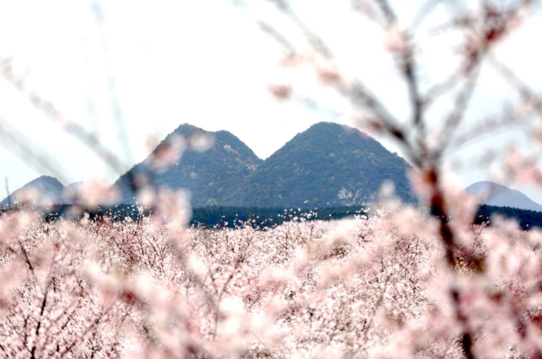 你也不美丽 推荐视频