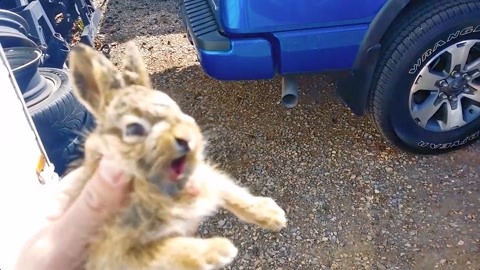 冒牌上流 推荐视频