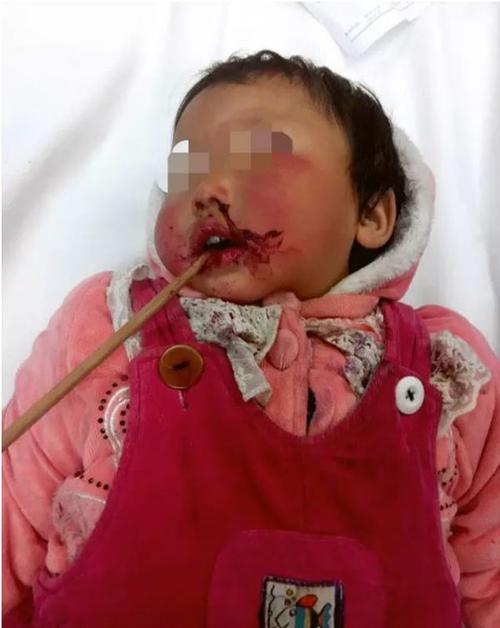 佳酿之恋 推荐视频