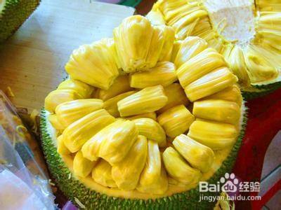 伊斯基亚的卡西诺 推荐视频