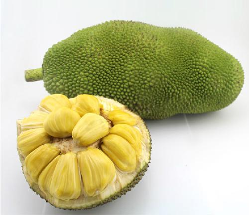 仙履奇缘2：美梦成真 推荐视频