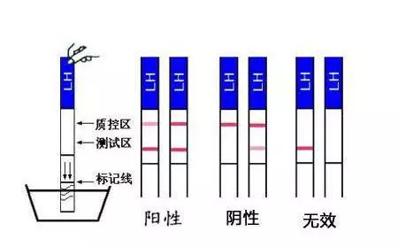 僵尸训练营 推荐视频