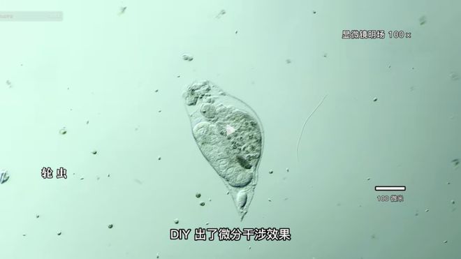 你会在那里吗？ 推荐视频